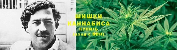 МДПВ Богданович