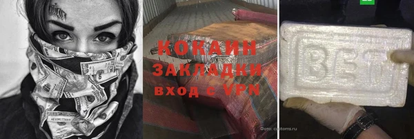 гидра Богородск