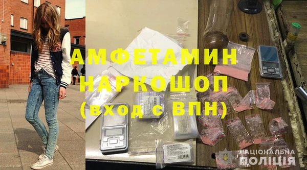 гидра Богородск