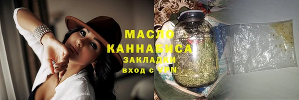 гидра Богородск