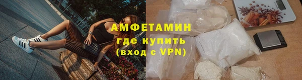 гидра Богородск