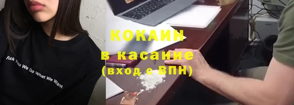 гидра Богородск
