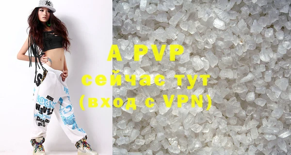 гидра Богородск