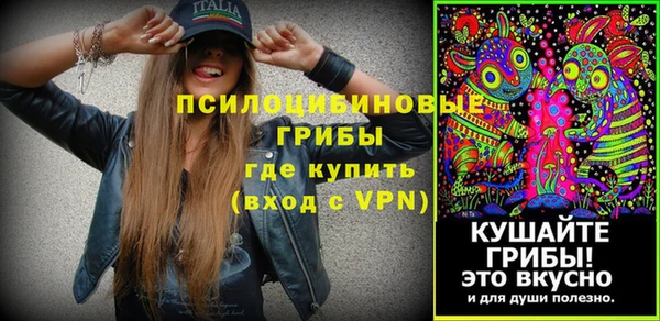 МДПВ Богданович